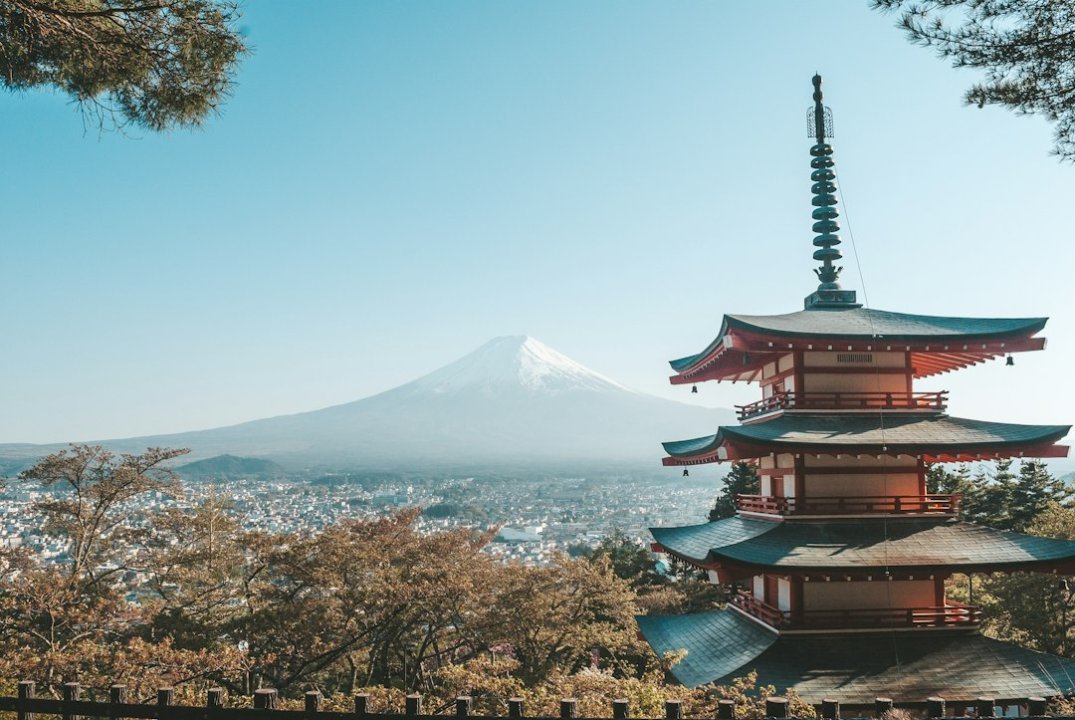 Syarat Pendidikan Minimal untuk Magang ke Jepang Terbaru